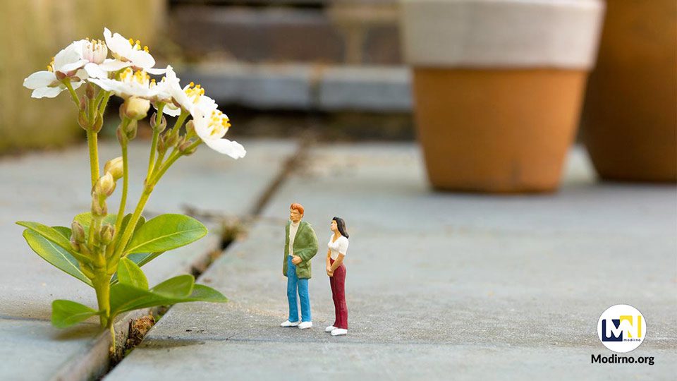 قدردان داشته ها باشیم