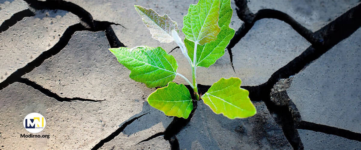 پادکست تاب آوری