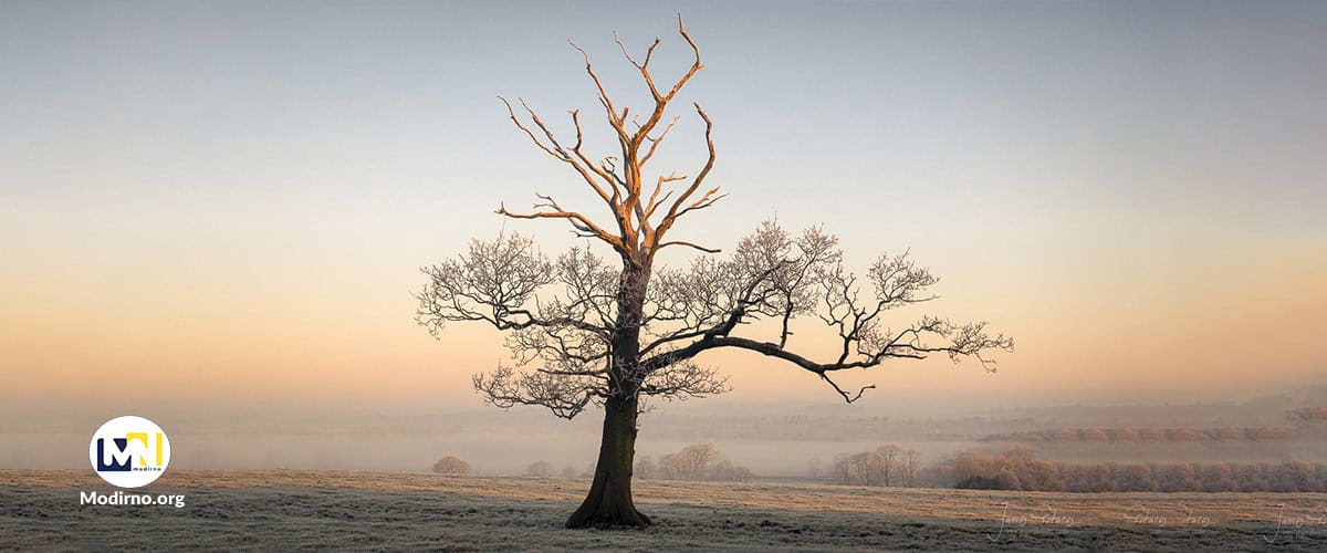 تاب آوری در شرایط سخت