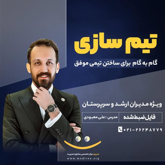 دوره آموزشی تیم سازی و کار تیمی | عکس دوره تیم سازی و کار تیمی | آموزش کار تیمی و تیم سازی کسب و کار