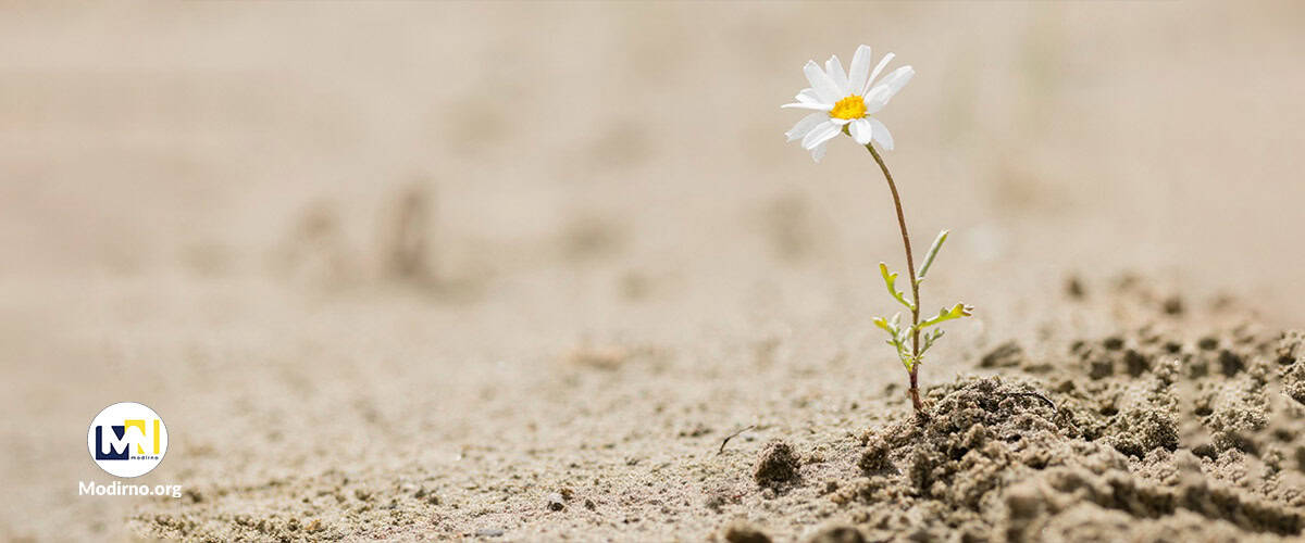 چگونه تاب آوری خود را افزایش دهیم؟